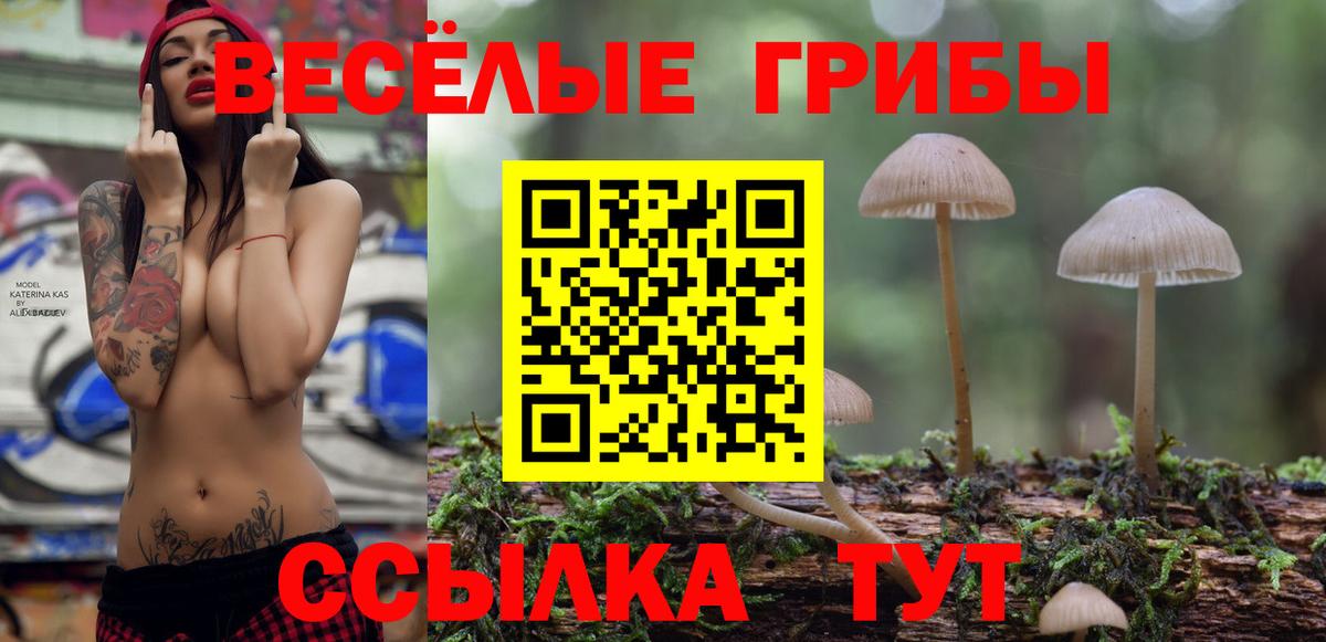 Псилоцибиновые грибы мицелий Тихорецк
