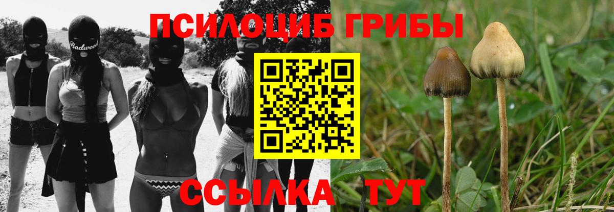 Тихорецк  Псилоцибиновые грибы Psilocybine cubensis  Вход с VPN  Галлюциногенные грибы ЛСД 